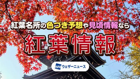 中島公園の紅葉情報（出典ページの画像）